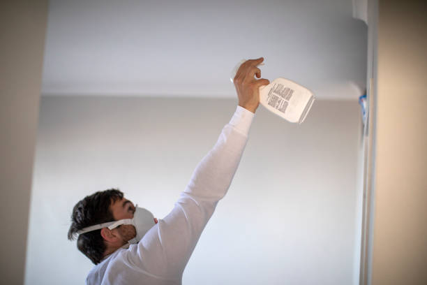 Best Black Mold Remediation in Mokena, IL